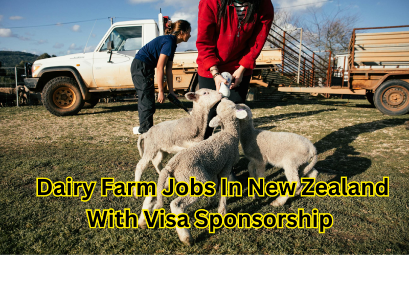 Dairy Farm Jobs